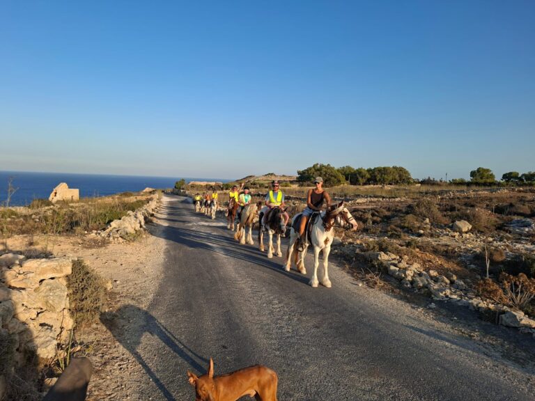 Home whatsapp image 2025 08 31 at 21.28.48 (1)