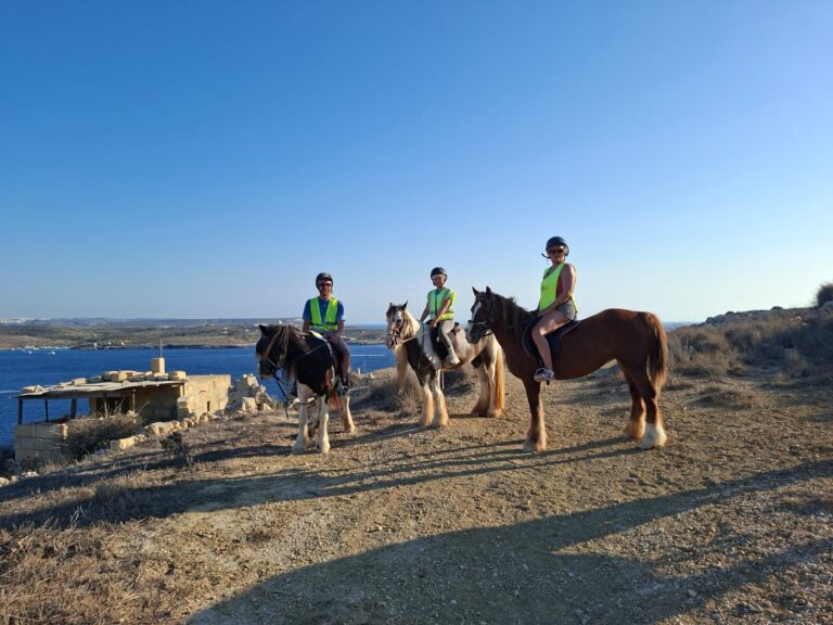 Home whatsapp image 2025 08 31 at 21.28.49 (1)